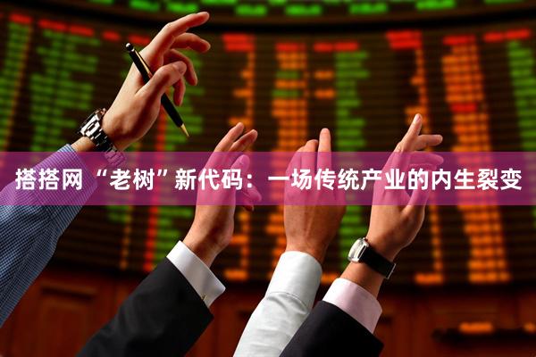搭搭网 “老树”新代码：一场传统产业的内生裂变