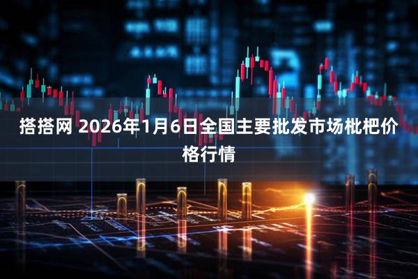 搭搭网 2026年1月6日全国主要批发市场枇杷价格行情